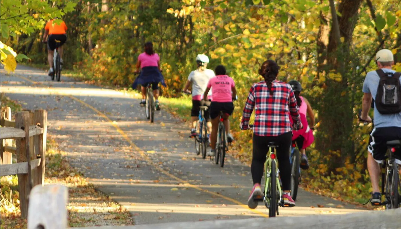 People bicyling in the forest preserve